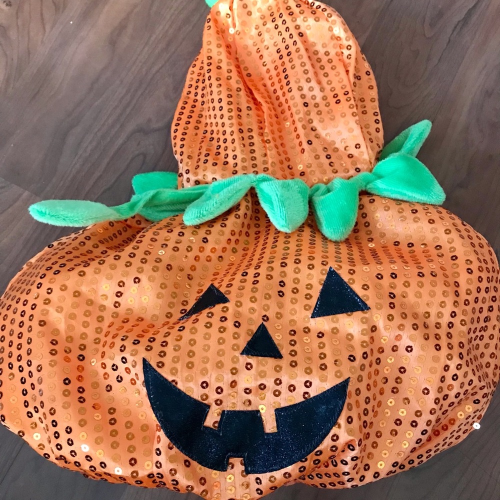 Adorable pumpkin dog costume!
